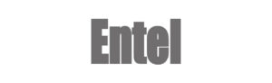 entel-1